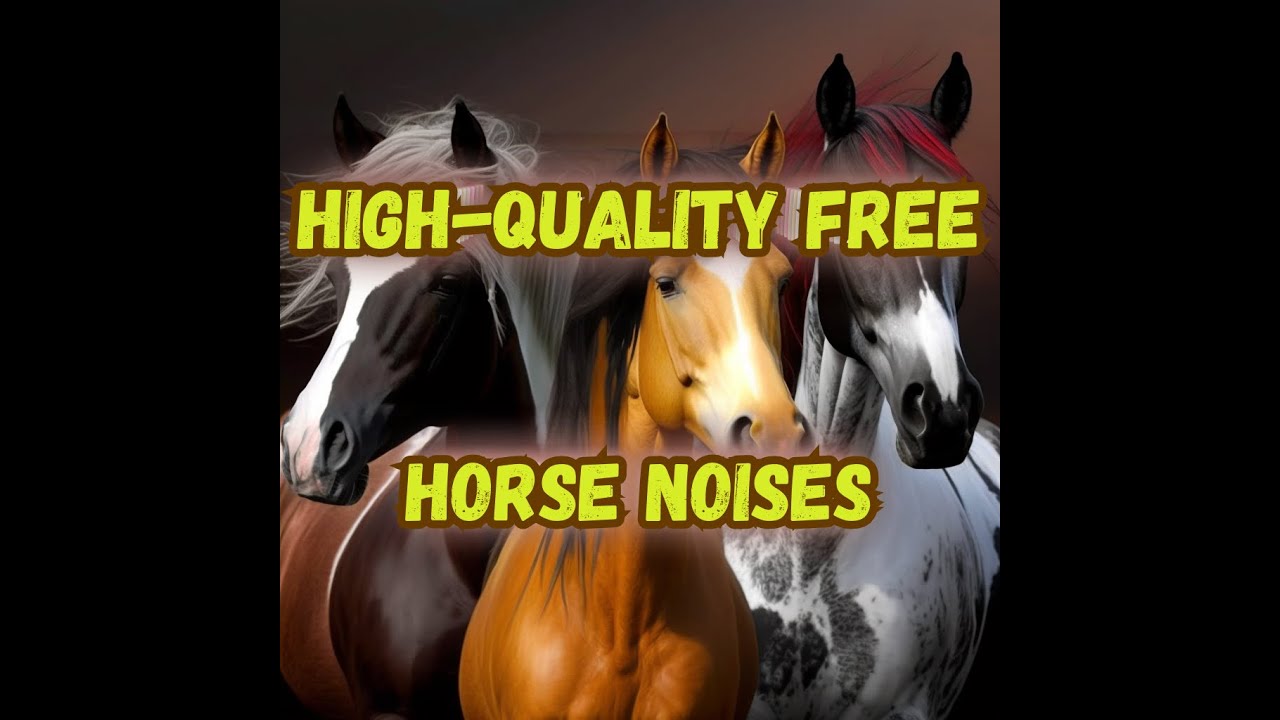 PUREST horse noises sound effect download free to use 🐎 YouTube