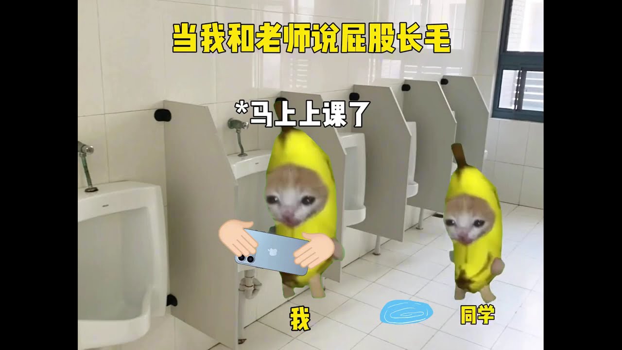 沒有思考的正義才最純真!#貓meme #正能量 #真實事件 #見義勇為