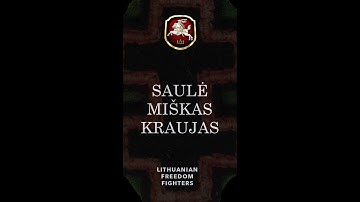 "Sun Forest Blood" - song about Lithuanian World War II freedom  fighters