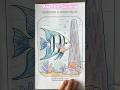 Pretty angelfish page from RedSea  marine life coloring book