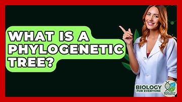 What Is A Phylogenetic Tree? - Biology For Everyone