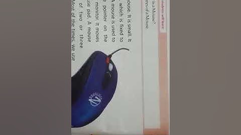 Class I.. Computer.. Ch-5, The Mouse