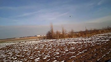 First Loops with Blade mCPX BL Micro Goblin (mGoblinX)