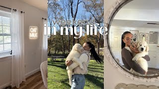 puppy updates, home decor haul & painting the entire house by Kélani Anastasi 1,706 views 6 months ago 12 minutes, 44 seconds