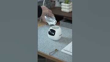 #Temu #shoptemu #Temufinds #temustyle #temu #ad @shoptemu