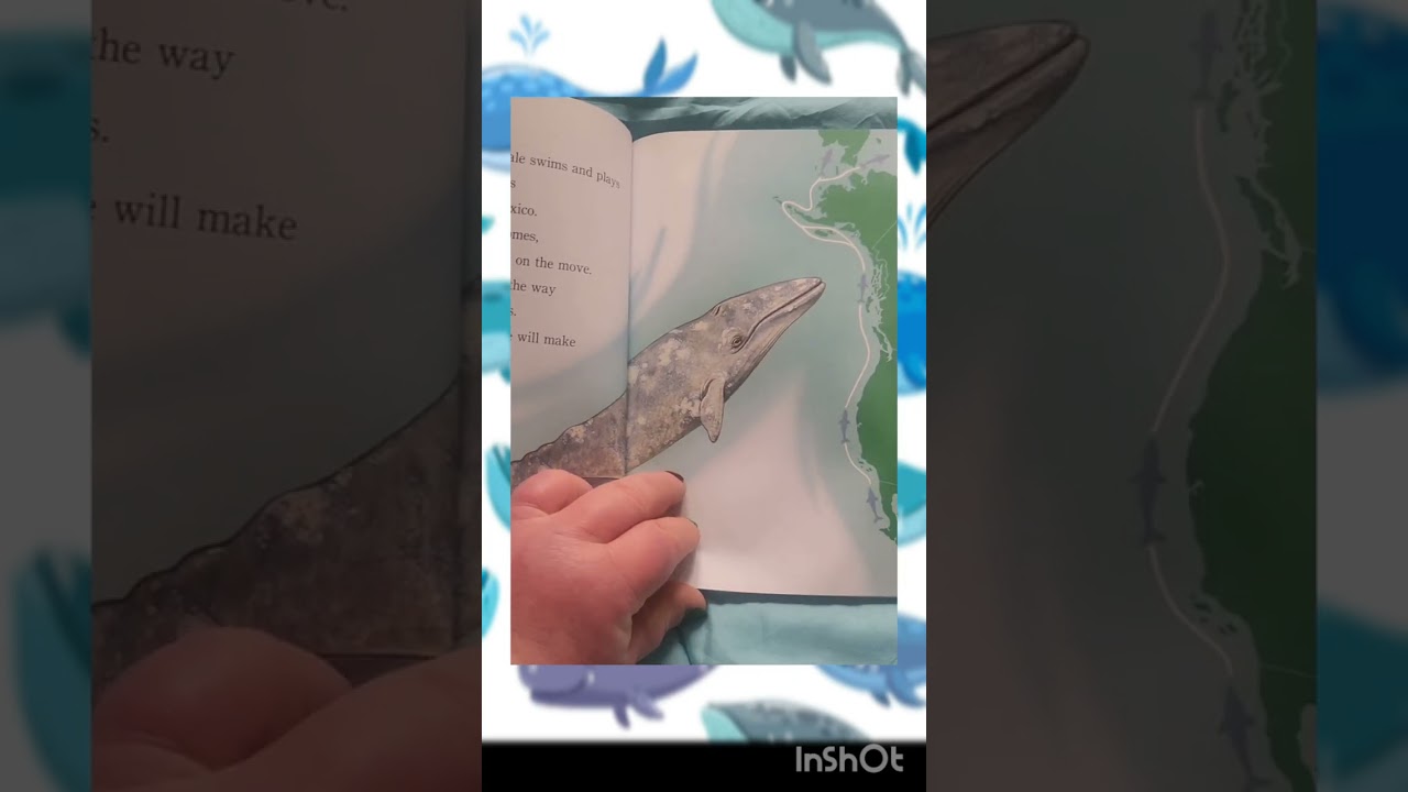 WHALES the gentle giants. 🐳 