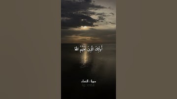 Quran Kareem story 🌸WhatsApp  أجمل قرائه قرآن كريم حالات واتس 🍃 《 سوره النساء  》