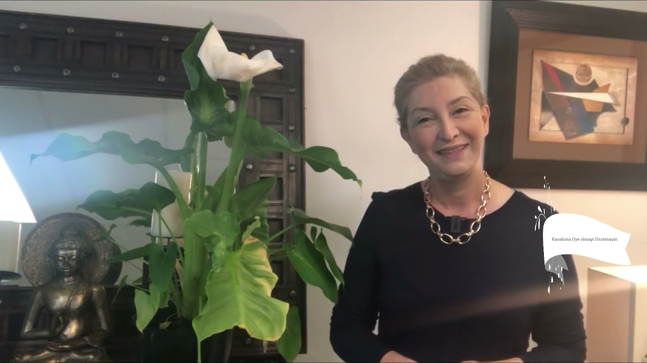 GALA VE ZAMBAKLARIN HEM SONBAHAR HEMDE KIŞ BAKIMI!!