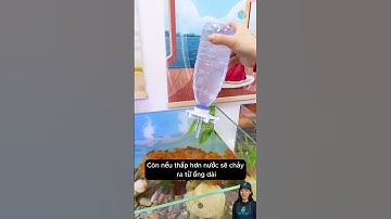 Mẹo nhỏ tự động bù nước cho bể cá không còn lo lắng bể cạn nước #aquarium #youtubeshorts