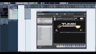 Tumbi Instrument Tutorial