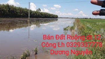 Nhà Đất Bán Đất Ruộng vườn dt 12 Công Giá 150tr Công Thạnh Hóa LA