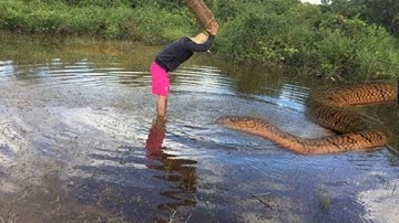 Wow! Brave Man Catch Big Snake With Bare Hand - How to Catch Big Snake in China