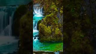 Meditation music  | nature loving 