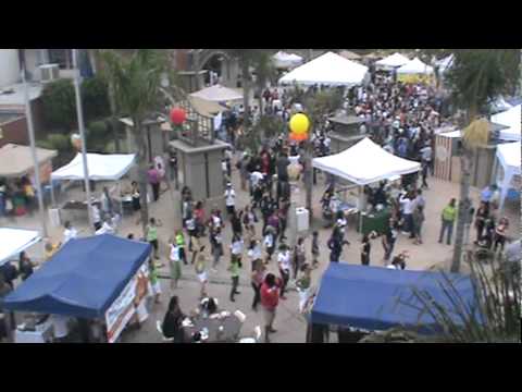 Faces of Fullerton Flash Mob