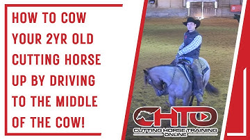 How To Cow Your 2yr Old Cutting Horse Up By Driving To The Middle Of The Cow!