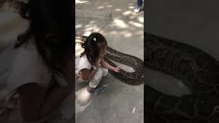 MY 5 YEAR OLD TOUCHING BURMESE PYTHON || XZOOTIC ANIMAL PARK BOHOL