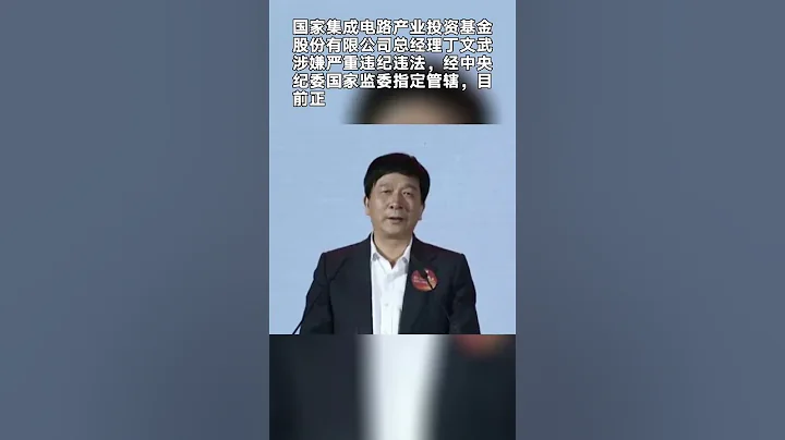 国家集成电路产业投资基金股份有限公司总经理丁文武被查 - 天天要闻