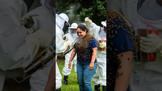 Million Of Bees Suddenly Attack On Fat Girl Rescue Team Save The Life