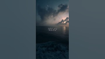 ياسر الدوسري ✨ #تلاوة #اكسبلور #اعتني #القرآن_الكريم #راحة_نفسية #اهميه #duet #الرحمن #دويتو