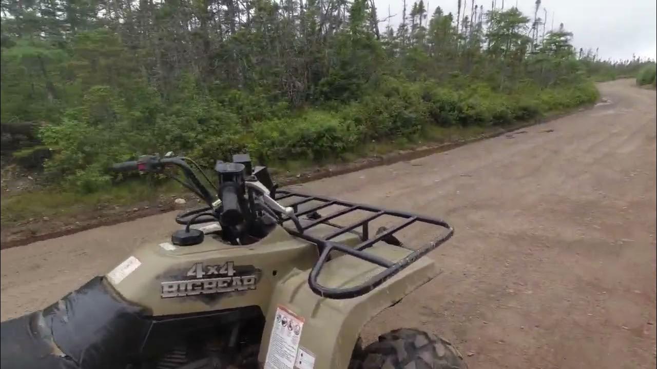 1999 Yamaha big bear 350 walkaround and drive YouTube