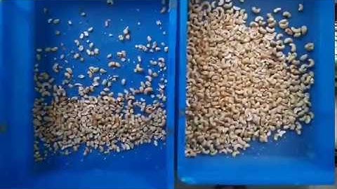 SUMMIT Cashew Kernel Size Sorting