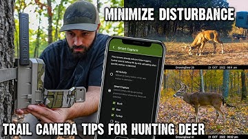 Trail Camera Tips for Deer Hunting: Reduce Disturbance and Maximize Success