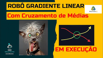 🚀Robô Gradiente Linear com cruzamento de médias Execução 3 | MT05