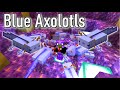 I Got the RAREST Axolotl in Minecraft Survival!