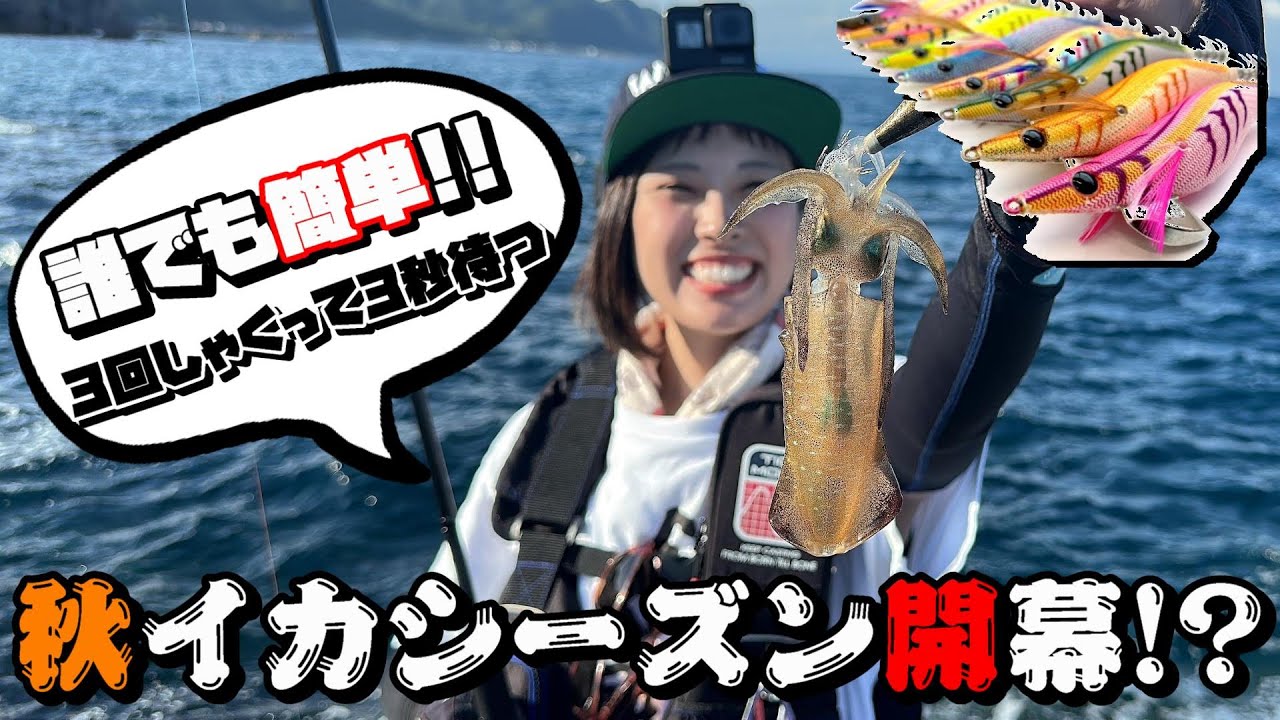 残り1組早い者勝ち　ダイワ　秋イカ　新子イカ　エギ　3.5号　20本 エギング】アオリイカのコツは3回しゃっくて3秒待つ！？【秋イカ