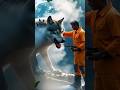 Millions of Cockroaches Attacked a Giant Wolf 🐺🪳#animals #wolf #short #youtubeshorts