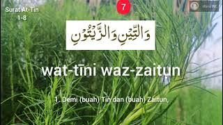At-Tin 1-8 dibaca 10x || Menghafal surat At-Tin || At-Tin Hanan Attaki