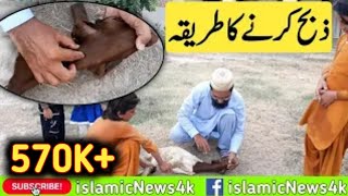 Bakra zibha karne ka islami tariqa by Qari Naeem Ansari Qadri in Islamic News 4k