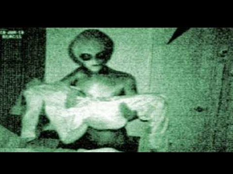The Rake Sightings Ima...