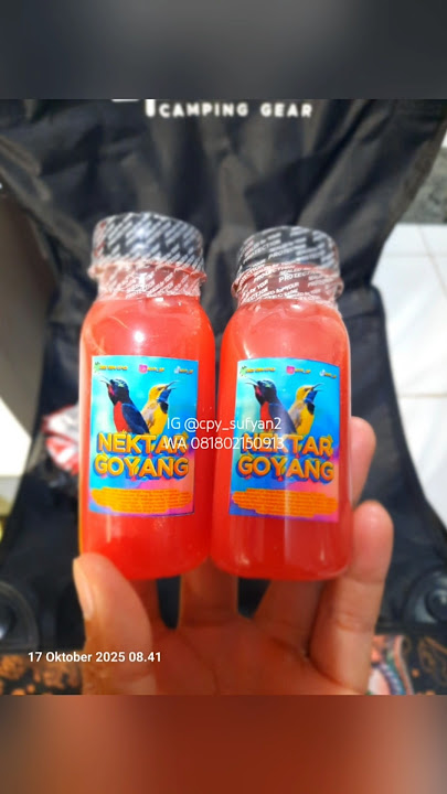 Download lagu Nektar pakan kolibri.#kicaumania #pakankolibri #pakansogon #pakankonin #sogon #konin #burungmasteran