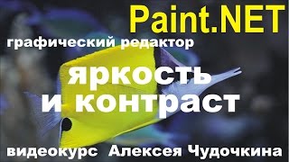 Как поменять яркость и контраст в Paint.NET
