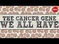 The cancer gene we all have - Michael Windelspecht