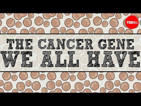 The cancer gene we all have - Michael Windelspecht