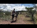 Corrido de don rafael daz rancho la trinidad tierra nueva s l p