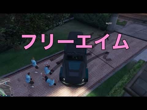 Gta5 フリーエイムサーバーの実態 Vc狩り Youtube