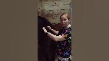 Video Skill #11: SQ & IM Injections