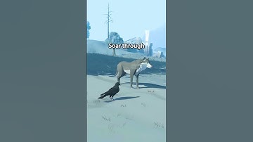 Can you survive migration as a little crow