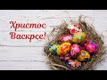 Hristos Vaskrse! Srećan Uskrs žele Vam Aleksej i Nikolaj #Uskrs2026 #VaistinuVaskrse #Srbija #jaja