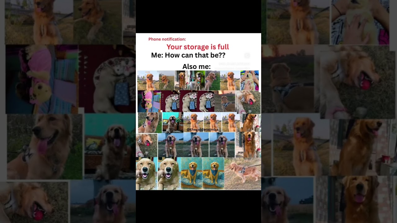 Dog lovers agree 😂 