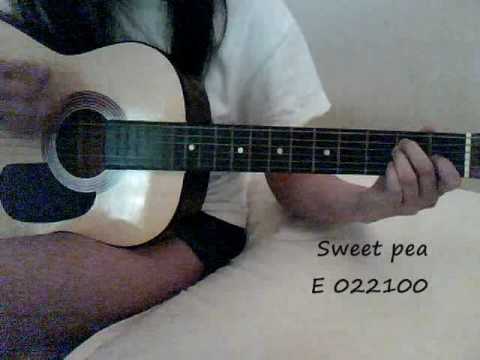 Sweet Pea Amos Lee EASY guitar lesson chords tabs lyrics - YouTube