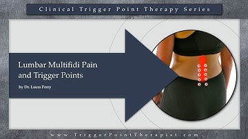 Lumbar Multifidus Pain and Trigger Points