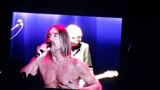 Iggy Pop Argentina I wanna be your dog