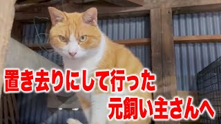 幸くん達を置き去りにし、直ぐ近所に引っ越した元飼い主さん見てくれてますか