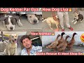 Dog Kennel Par Gya🔥New Dog Lena K Liya🐶New Dog Ko Dekh Sb Gussa Hogye😡Ducks Rescue Kr Farm Par Laye😰