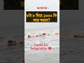 General knowledge |Bangla quiz |Gkquiz|কুইজ|বাংলা জিকে |Gk question|short trending |gk|shorts