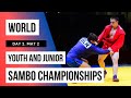 World Youth and Junior SAMBO Championships 2020. Day 2. Mat 2